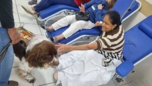 Cão Terapia leva alegria e conforto a pacientes do Hospital Mario Covas em Hortolândia