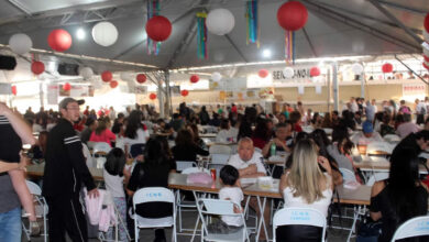 festival-japao