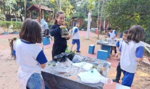 Hortolândia celebra Semana do Meio Ambiente com ações de conscientização e plantio