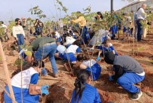 Hortolândia ganha sua primeira microfloresta urbana ao lado do Paço Municipal