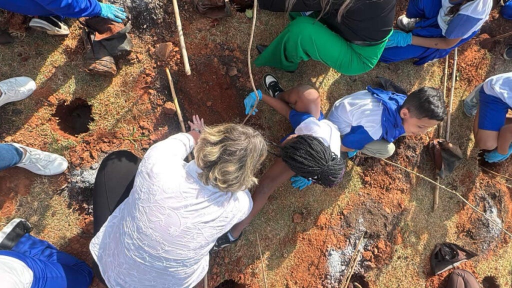 plantio-ana-perugini