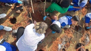 Ana Perugini: Hortolândia ganha microfloresta urbana