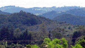 Ana Perugini participa de ato pela preservação da Serra dos Cocais em Valinhos