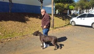 10 dicas para passear com seu cachorro com segurança