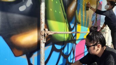 Festival de Grafite