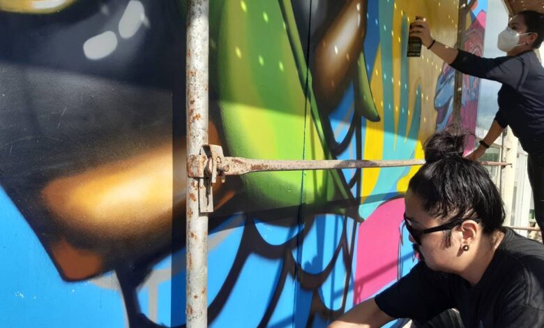 Festival de Grafite