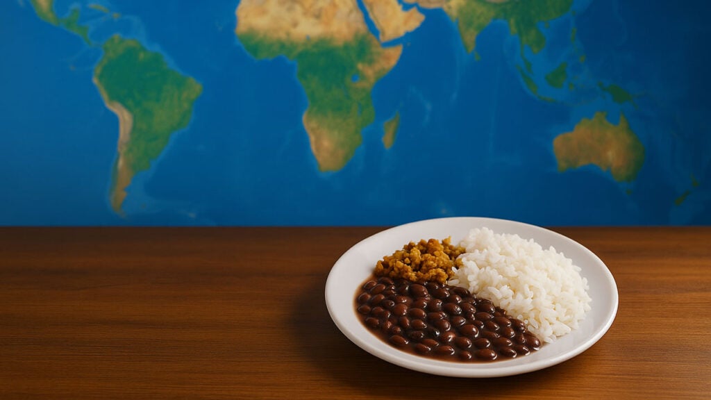 prato de comida arroz feijao - mapa da fome