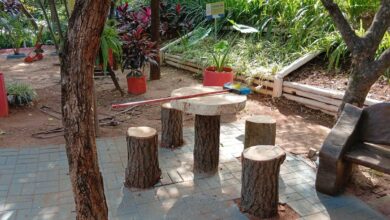 Parque Irmã Dorothy