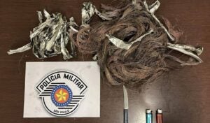 Dupla é presa queimando fios em terreno baldio de Sumaré