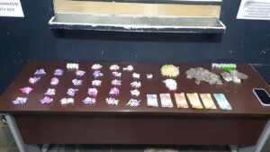 Tráfico de drogas no Jardim Amanda: dupla é presa em flagrante pelo Baep