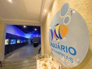 Aquário Municipal de Campinas é reaberto para visitação