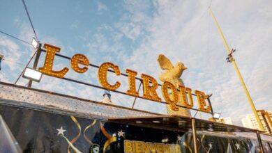 le cirque