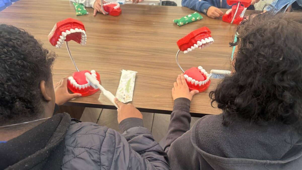 ação especial de saúde bucal