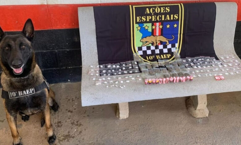 BAEP apreende drogas no bairro São Sebastião em Hortolândia