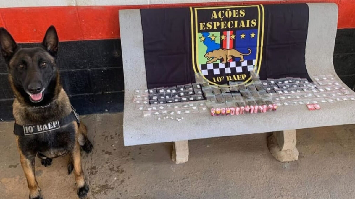 BAEP apreende drogas no bairro São Sebastião em Hortolândia