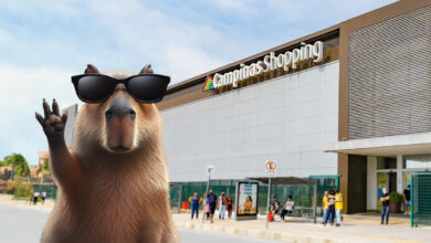 Capivara Fun Fest