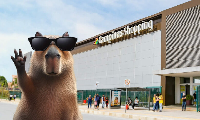 Capivara Fun Fest