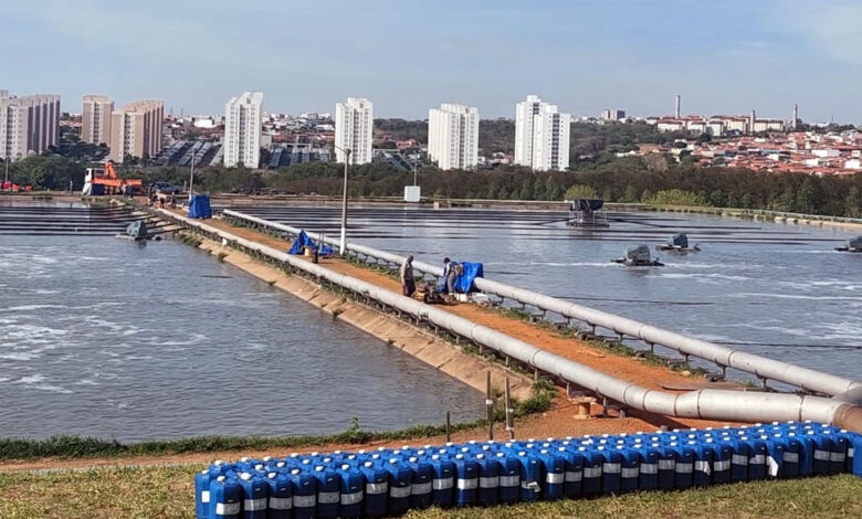 Comitê de Crise