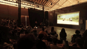 Mostra Curta chega à 15ª edição como referência entre festivais do Brasil