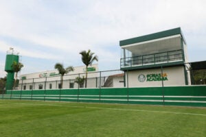 Técnico do Palmeiras se pronuncia por afastamento