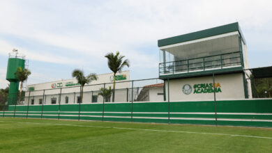 Palmeiras