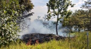 Defesa Civil prevê semana crítica para queimadas em São Paulo