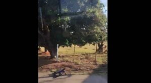 Ciclista morre em atropelamento e motorista foge após carro pegar fogo em rodovia de Hortolândia