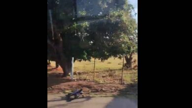 ciclista morre