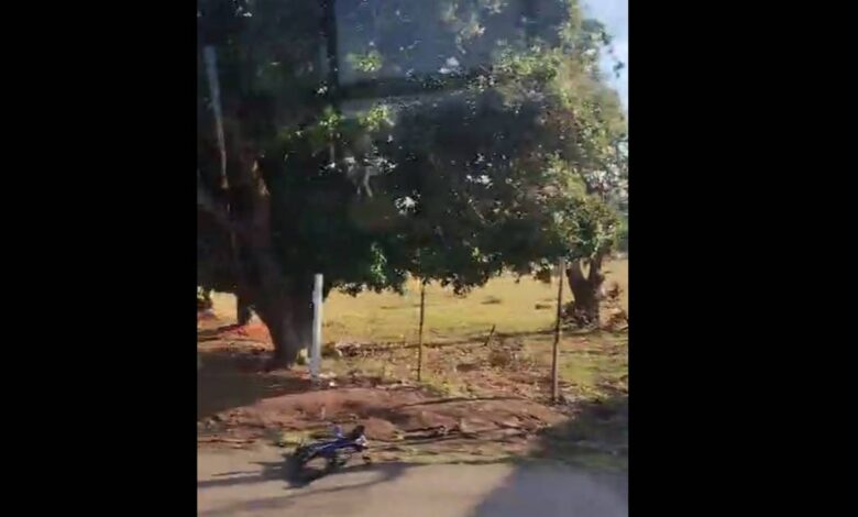 ciclista morre
