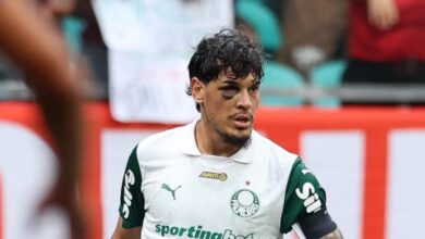 Palmeiras