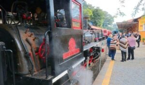 Confira os passeios gratuitos no Tour Campinas em novembro