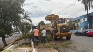 Forte chuva causa estragos em Monte Mor; mais de 20 quedas de árvores são registradas