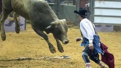 rodeio