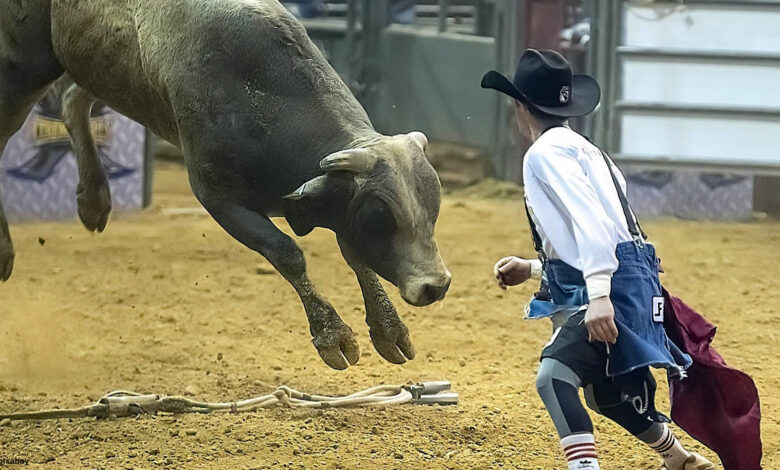rodeio