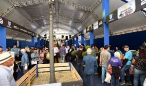 3º Festival Campinas Rural começa hoje (4) com feira, shows e feirão de empregos