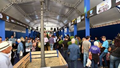 3º Festival Campinas Rural