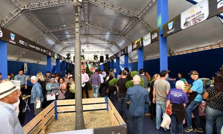 3º Festival Campinas Rural