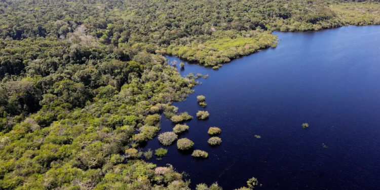 Amazônia - © Fabio Rodrigues-Pozzebom/Agência Brasil