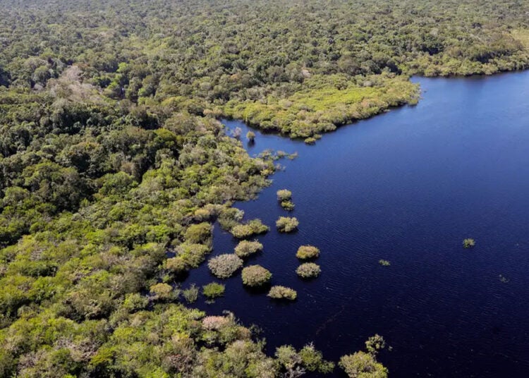 Amazônia - © Fabio Rodrigues-Pozzebom/Agência Brasil