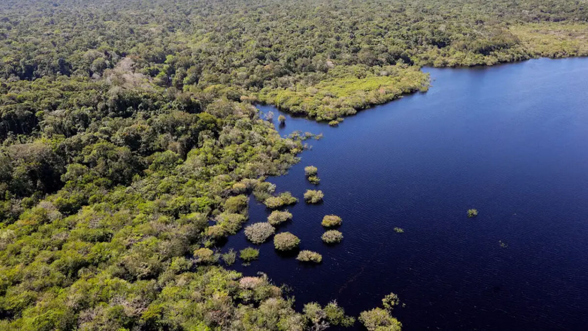 Amazônia - © Fabio Rodrigues-Pozzebom/Agência Brasil