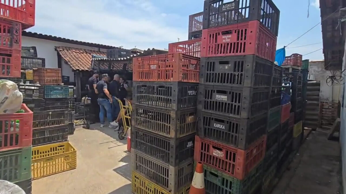 Depósito clandestino de bebidas é descoberto pela Polícia Civil em Hortolândia