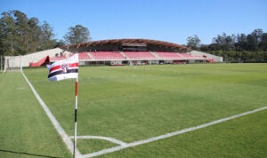 São Paulo avalia gramados sintéticos para Cotia