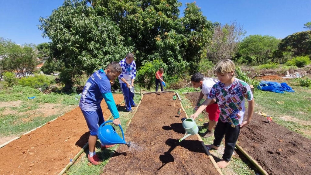 Jovens Raízes horta comunitária renasce em meio à antiga favela