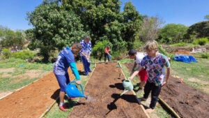 Jovens Raízes transforma área degradada em horta comunitária em Hortolândia