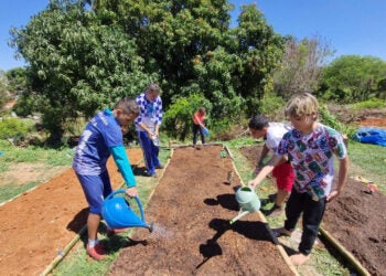 Jovens Raízes horta comunitária renasce em meio à antiga favela