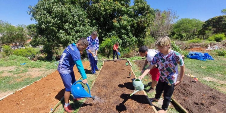 Jovens Raízes horta comunitária renasce em meio à antiga favela