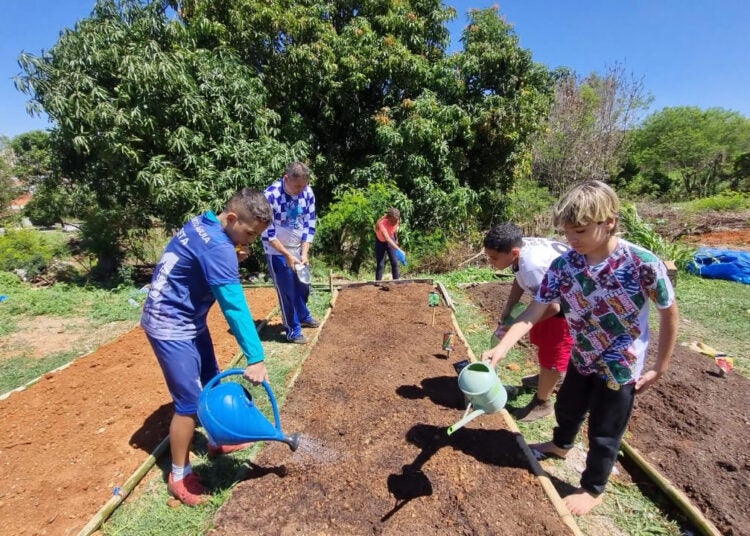 Jovens Raízes horta comunitária renasce em meio à antiga favela