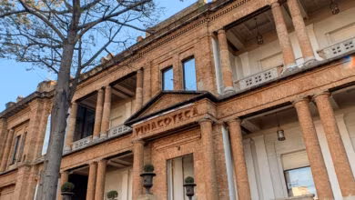 Museus pinacoteca