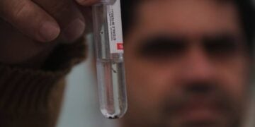 Índice alto de infestação