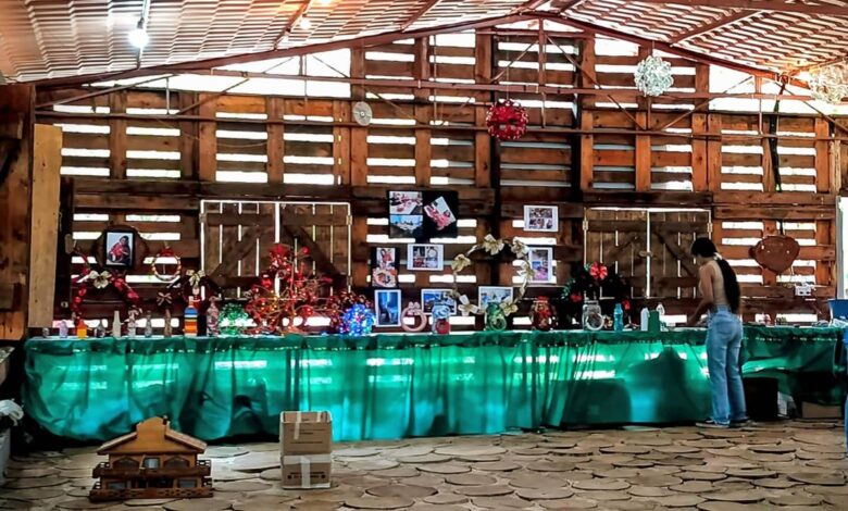 exposição ambiental